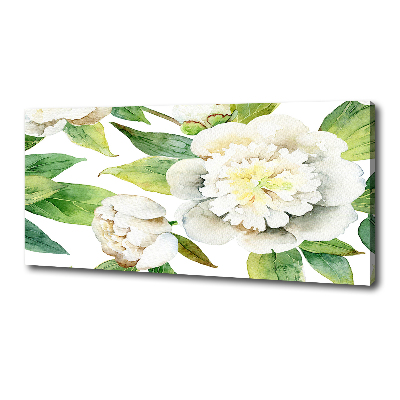 Canvas foto Pioenrozen