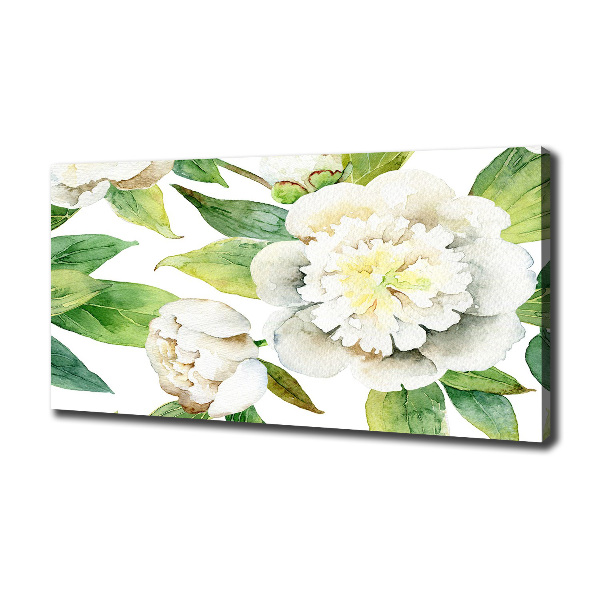 Canvas foto Pioenrozen