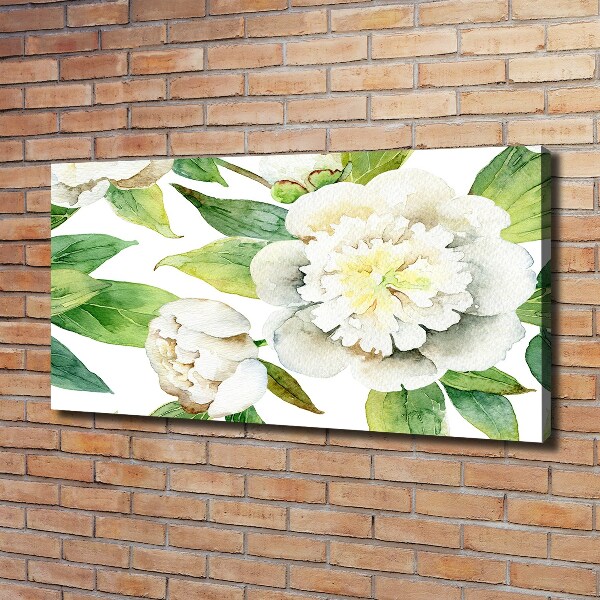 Canvas foto Pioenrozen