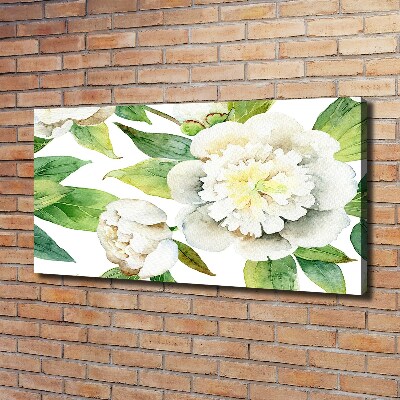 Canvas foto Pioenrozen