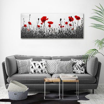 Canvas schilderij Klaprozen