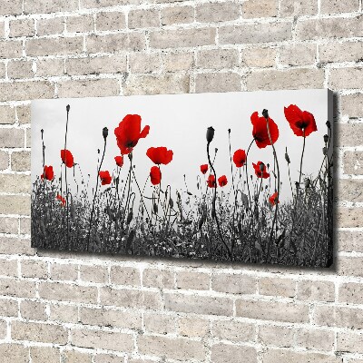 Canvas schilderij Klaprozen