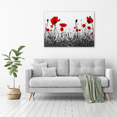 Canvas schilderij Klaprozen