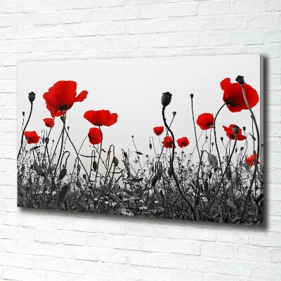 Canvas schilderij Klaprozen