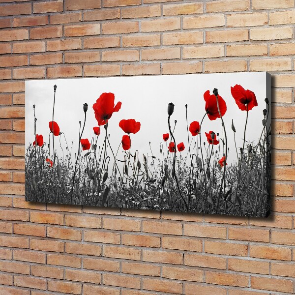 Canvas schilderij Klaprozen