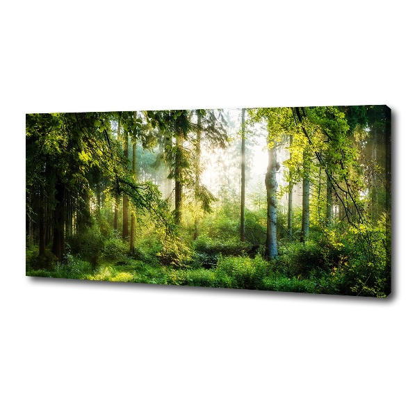 Foto canvas Ochtendzonbos