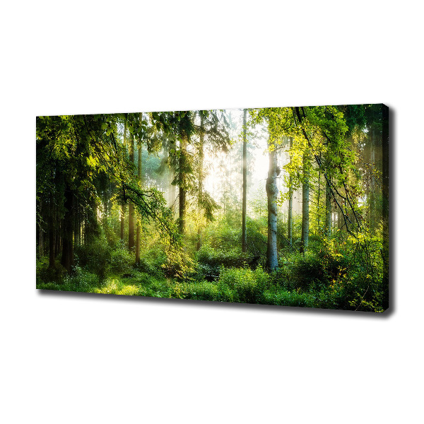Foto canvas Ochtendzonbos