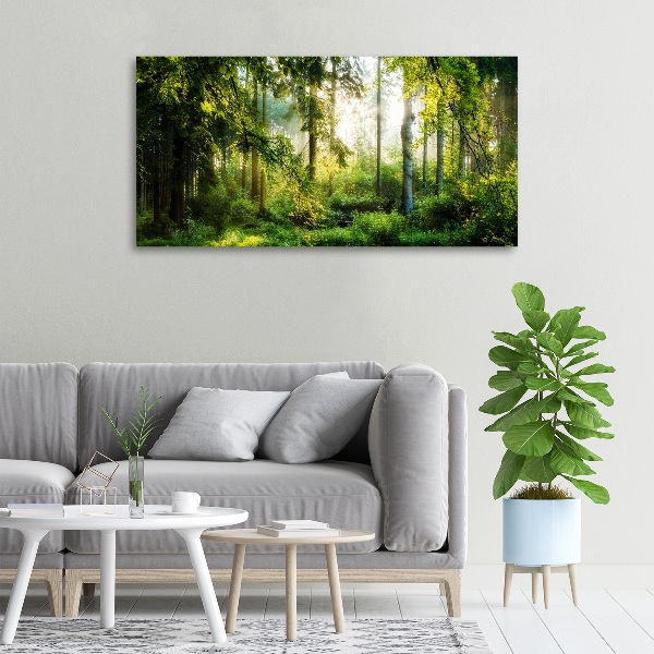 Foto canvas Ochtendzonbos