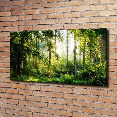 Foto canvas Ochtendzonbos
