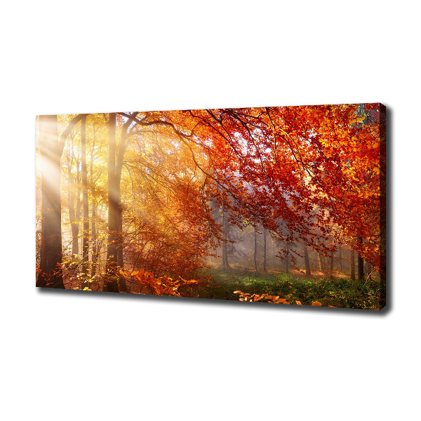Canvas schilderij Herfstbos