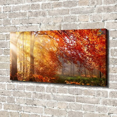 Canvas schilderij Herfstbos