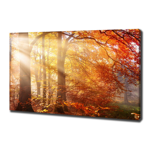 Canvas schilderij Herfstbos