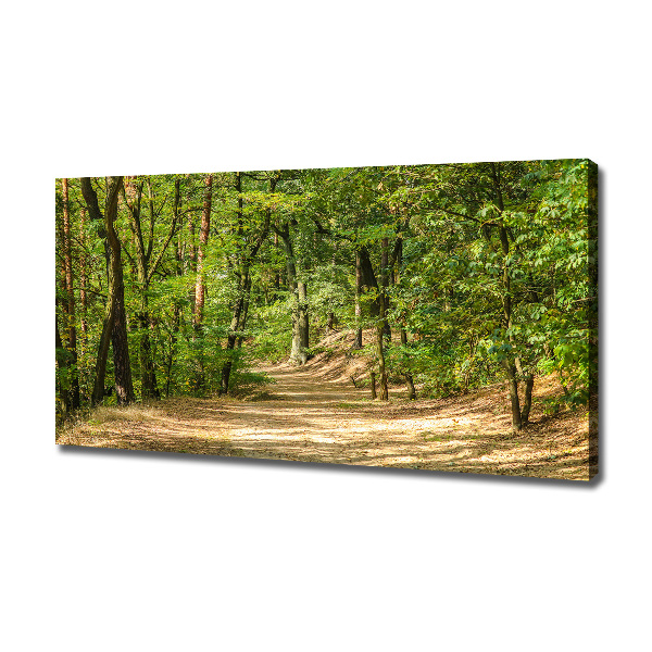 Schilderij op canvas Bospad