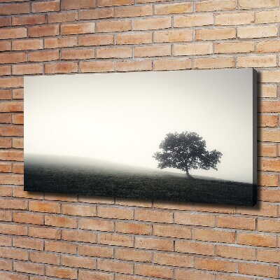 Foto op canvas Eenzame boom