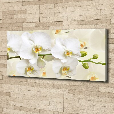 Foto op canvas Orchidee