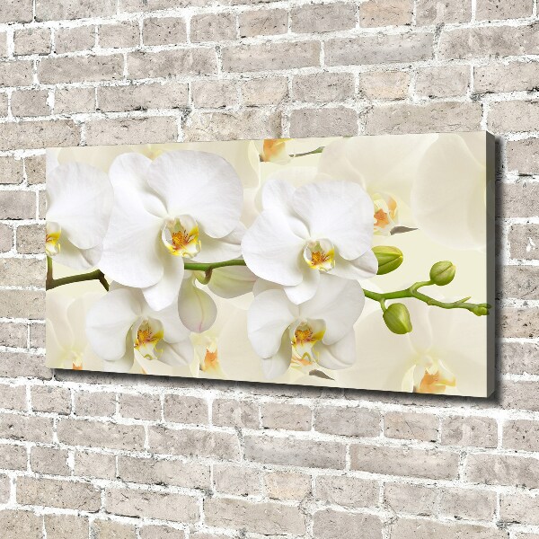 Foto op canvas Orchidee