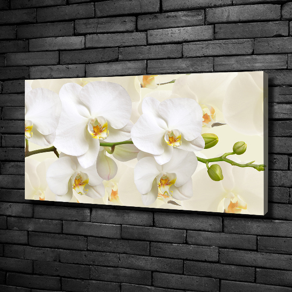 Foto op canvas Orchidee