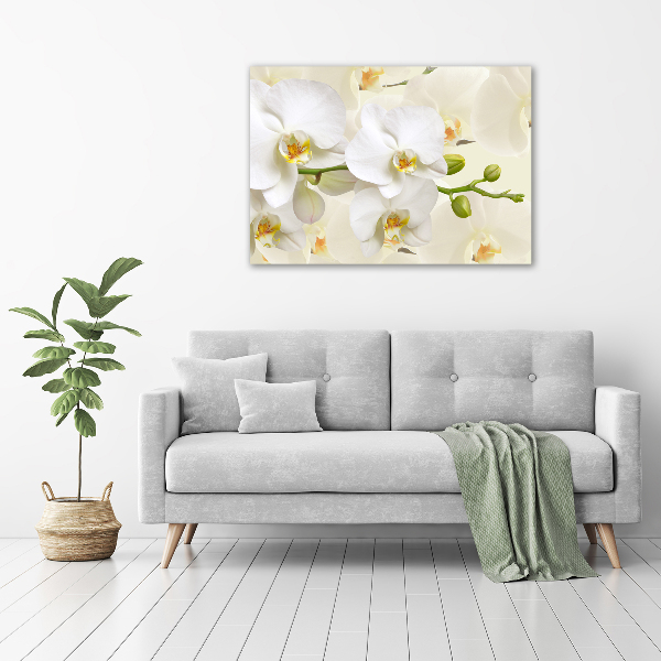 Foto op canvas Orchidee
