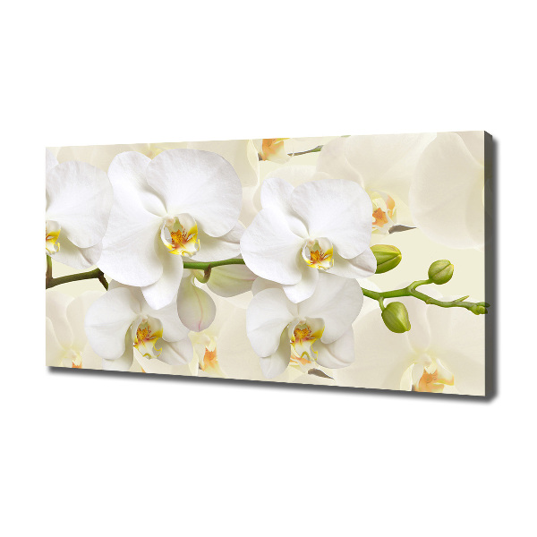 Foto op canvas Orchidee