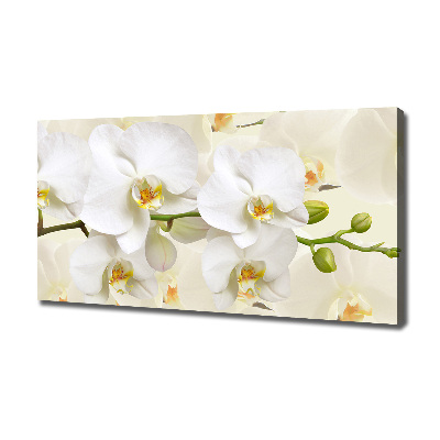 Foto op canvas Orchidee