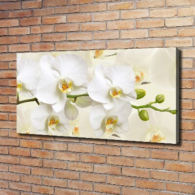 Foto op canvas Orchidee
