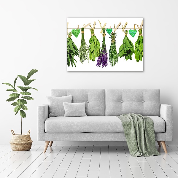 Canvas foto Kruiden aan een touwtje