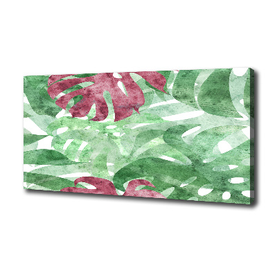 Foto op canvas Monstera