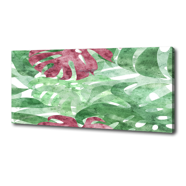 Foto op canvas Monstera