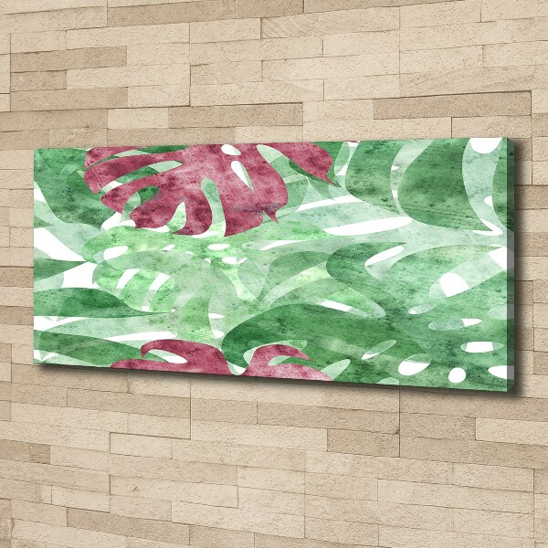 Foto op canvas Monstera