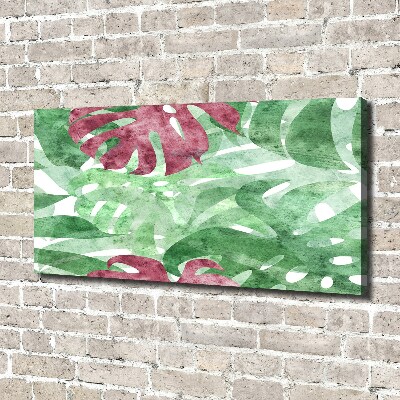 Foto op canvas Monstera