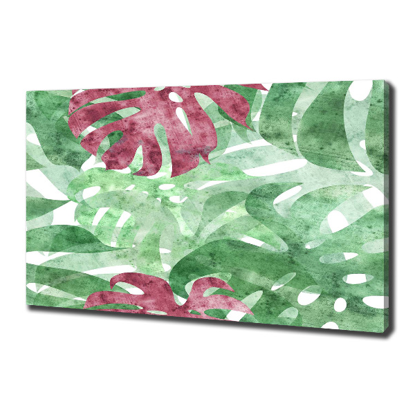 Foto op canvas Monstera