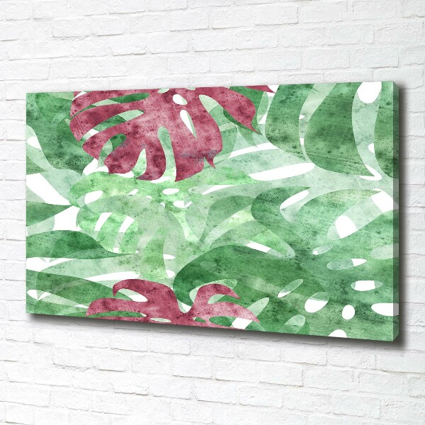 Foto op canvas Monstera