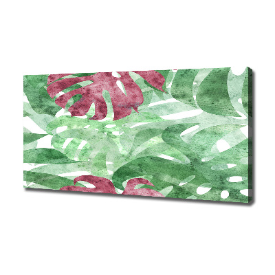 Foto op canvas Monstera