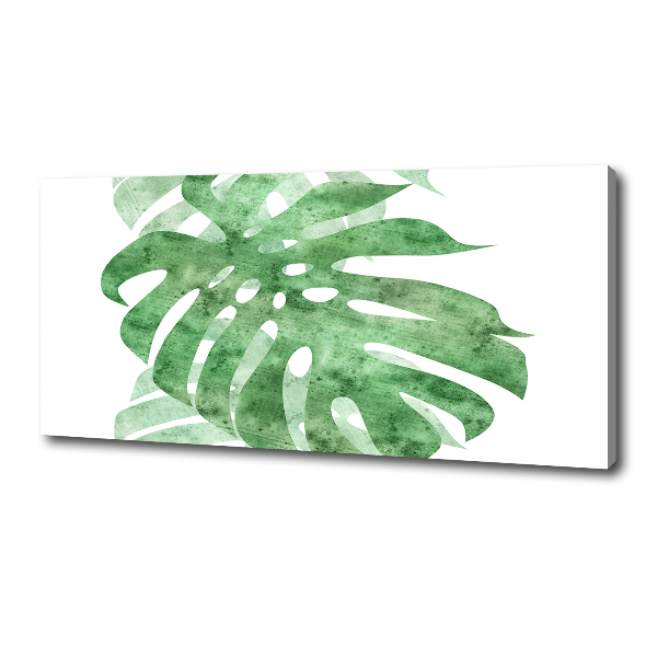 Canvas foto Monstera