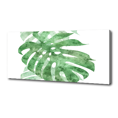 Canvas foto Monstera
