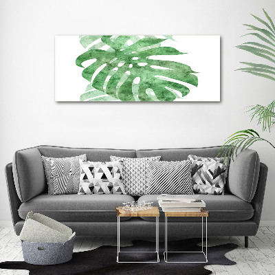 Canvas foto Monstera