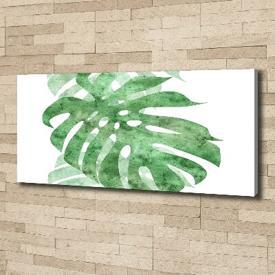 Canvas foto Monstera