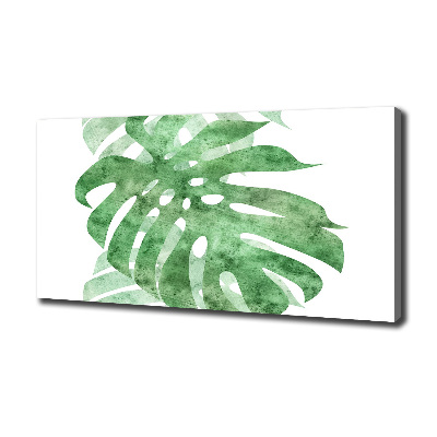 Canvas foto Monstera