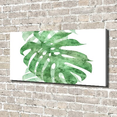 Canvas foto Monstera