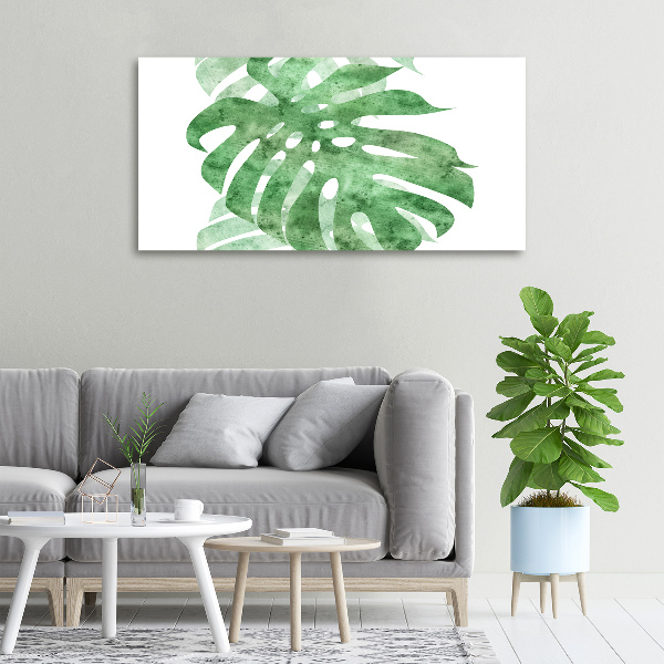 Canvas foto Monstera