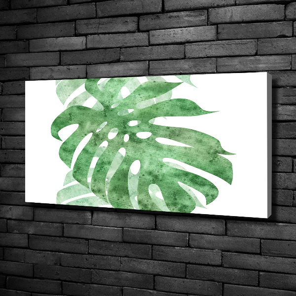 Canvas foto Monstera