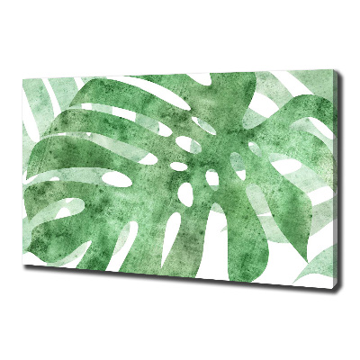 Canvas foto Monstera