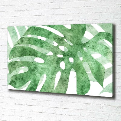 Canvas foto Monstera