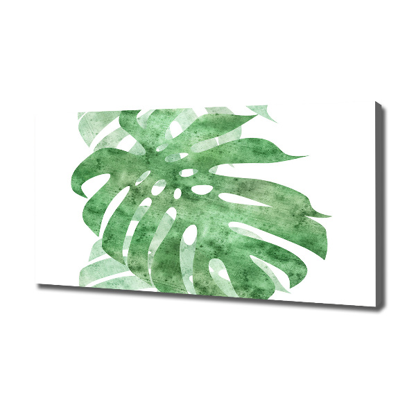 Canvas foto Monstera