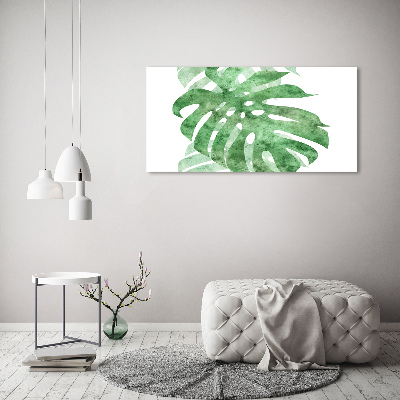 Canvas foto Monstera