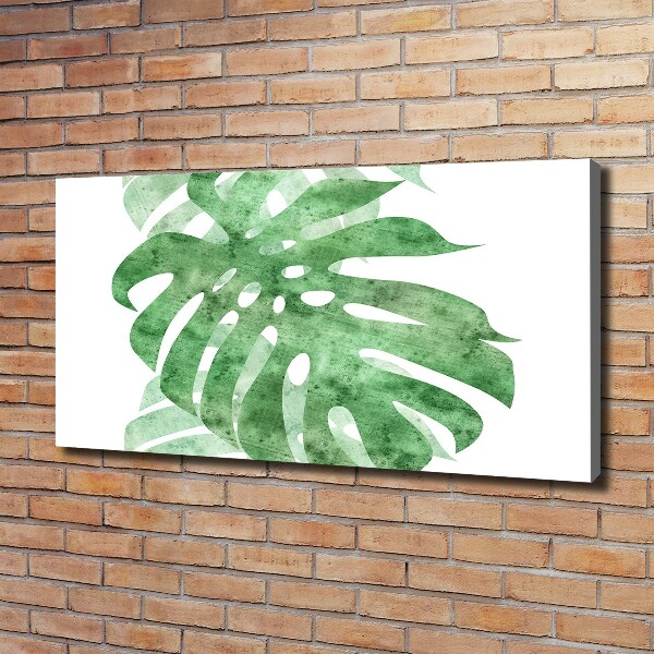 Canvas foto Monstera
