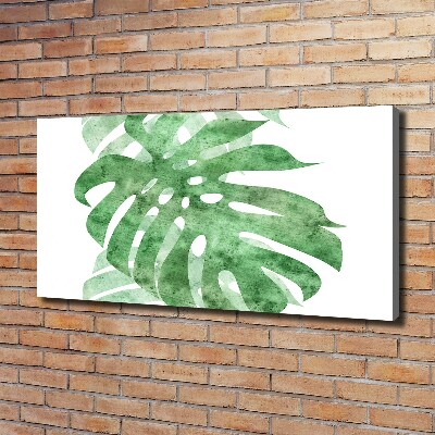 Canvas foto Monstera