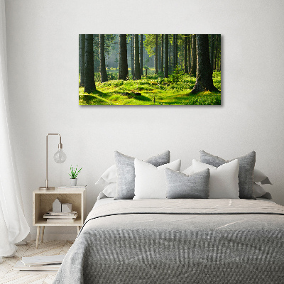 Foto op canvas Sparrenbos
