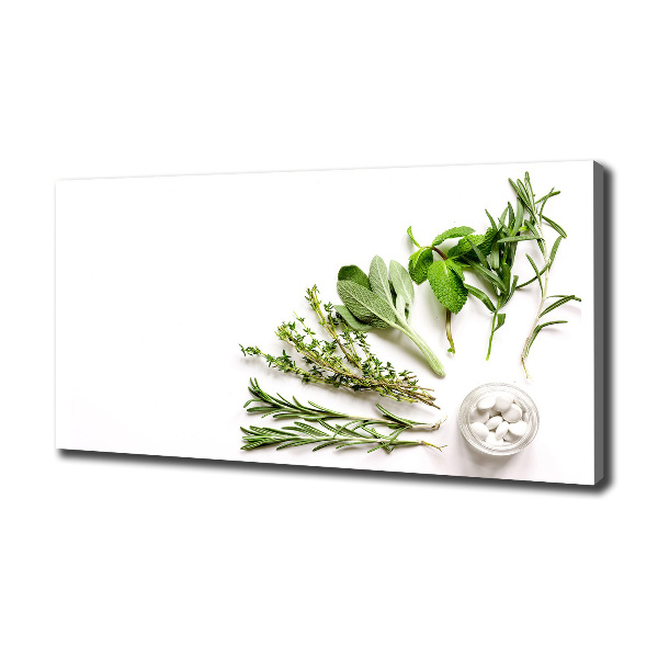 Schilderij op canvas Kruiden