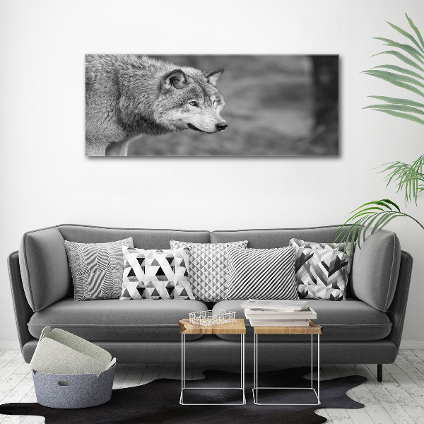 Foto canvas Grijze wolf